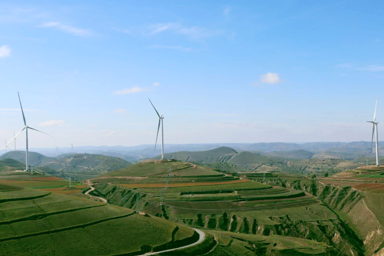 ���������ء���50MW���������վ