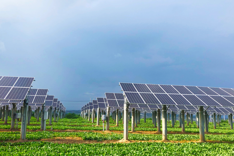 ɽ�������ء���12MWũ�⻥�������վ