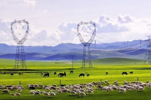 ϲ�� | AG�ι��ּ����ӹ�˾����껳ϵ����б����ɹŵ��������ţ�����������������Լ